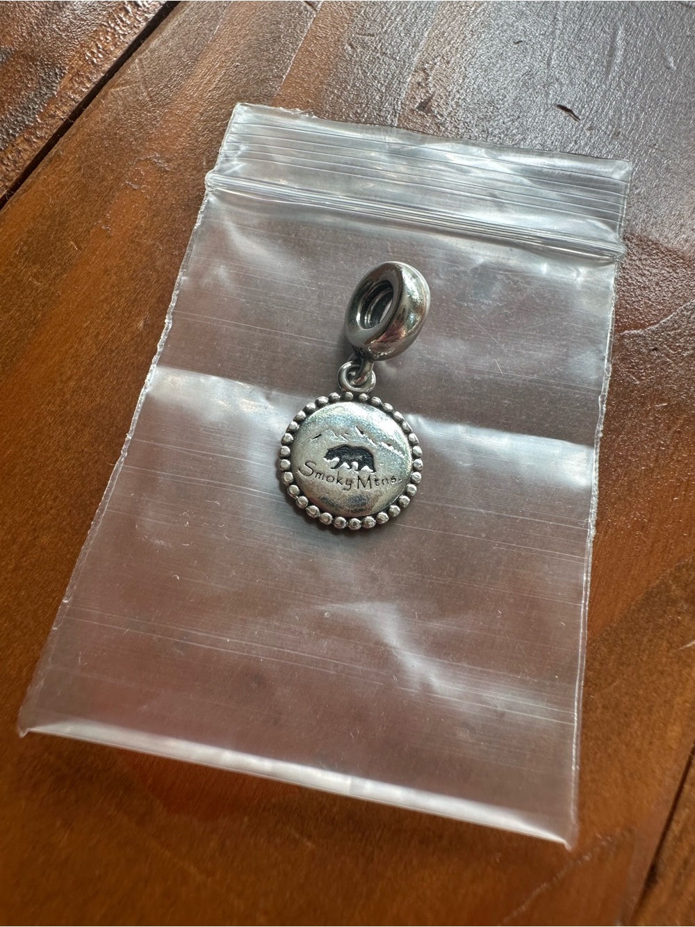 PANDORA Retired Smoky Mountains Charm